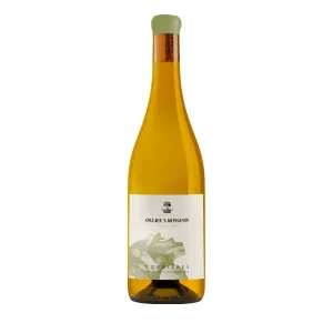 CHATEAU OLLIEUX ROMANIS RACINE BLANC
